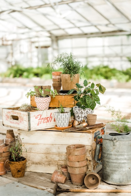 Essential Gardening Tools for Beginners