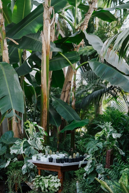 Downloadable Gardening Resources
